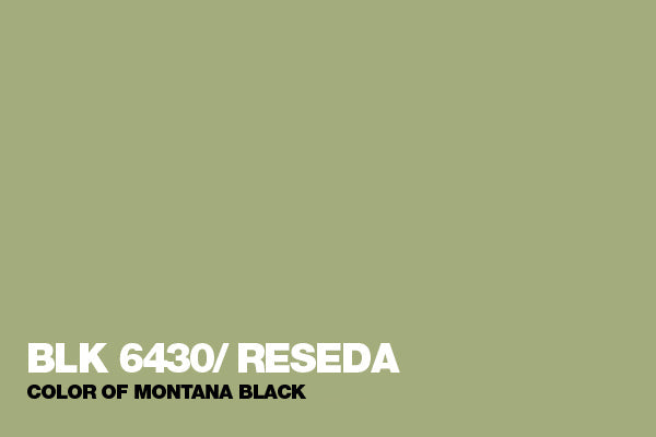 Black Cans 6430 Reseda 400ml