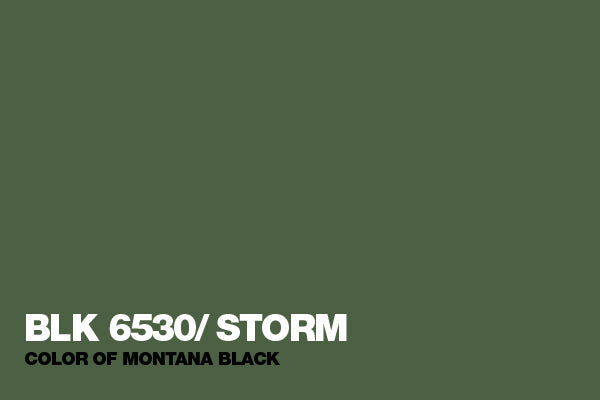 Black Cans 6530 Storm 400ml